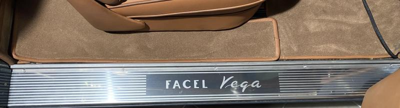 Door panel for V8 cars - stainless steel