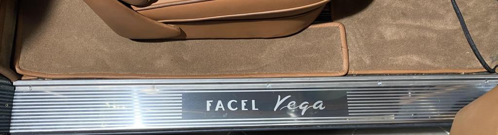 Door panel for V8 cars - stainless steel